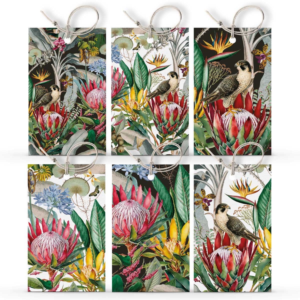 OH SO LOVELY LITTLE GIFT SET - Protea & the Falcon