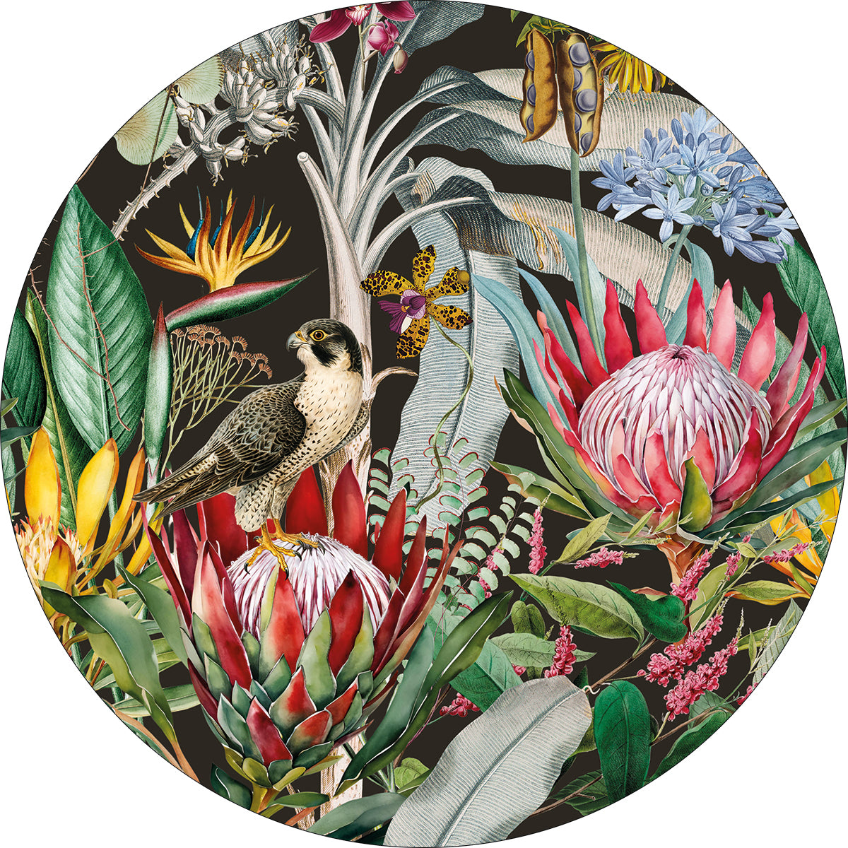 MOUSE MAT ~ Protea & the Falcon