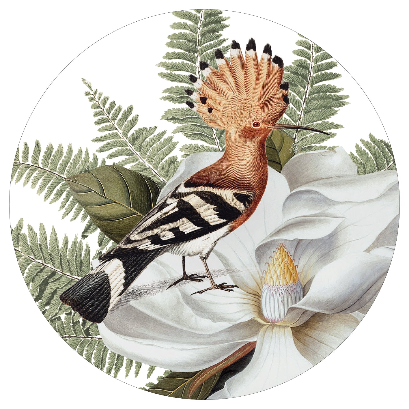 MOUSE MAT ~ Happy Little Hoopoe