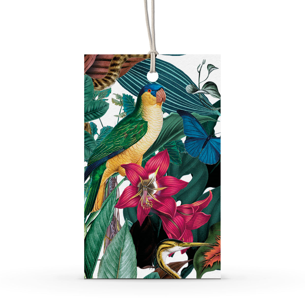 GIFT TAG SET [6] ~ Jungle Wild