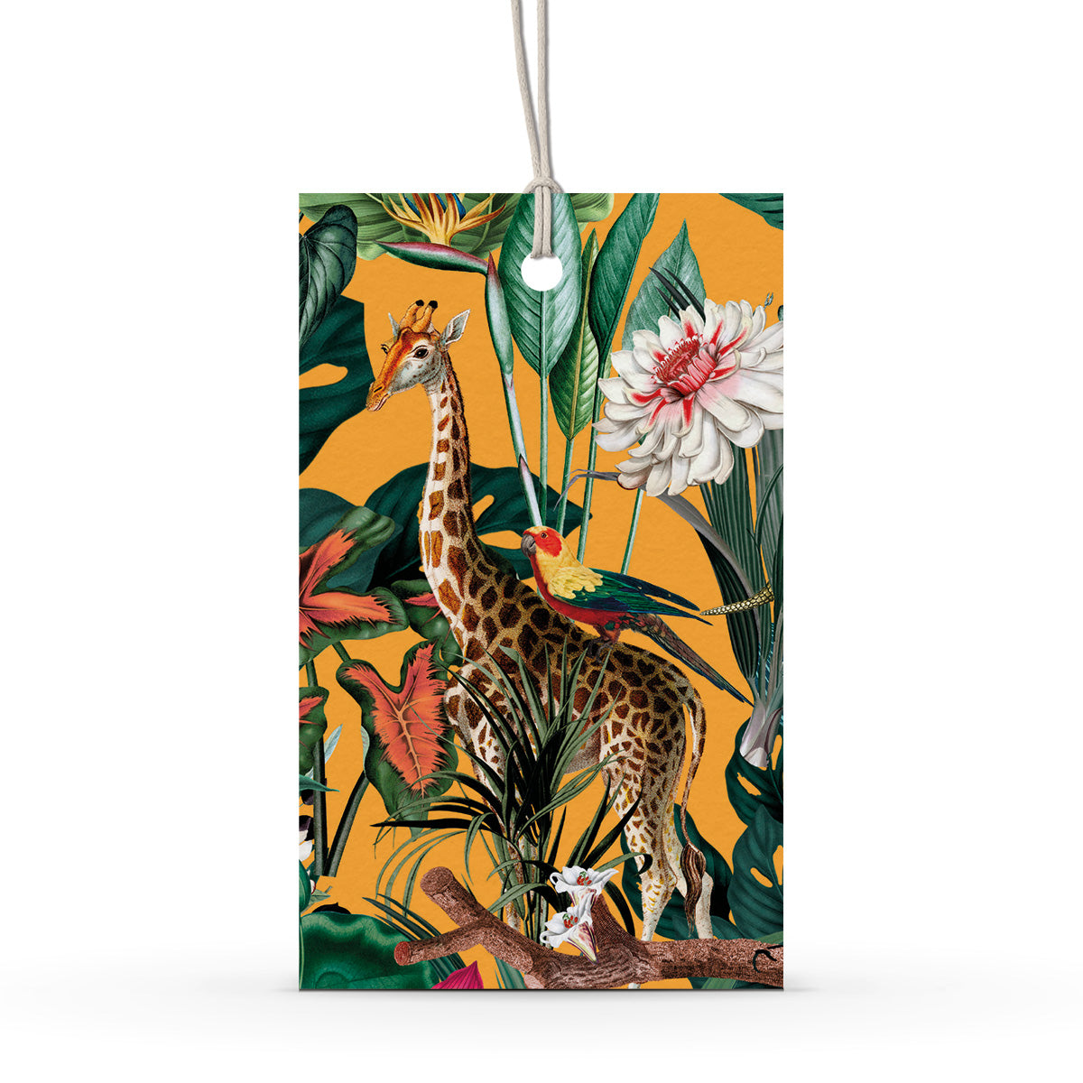 GIFT TAG SET [6] ~ Jungle Wild