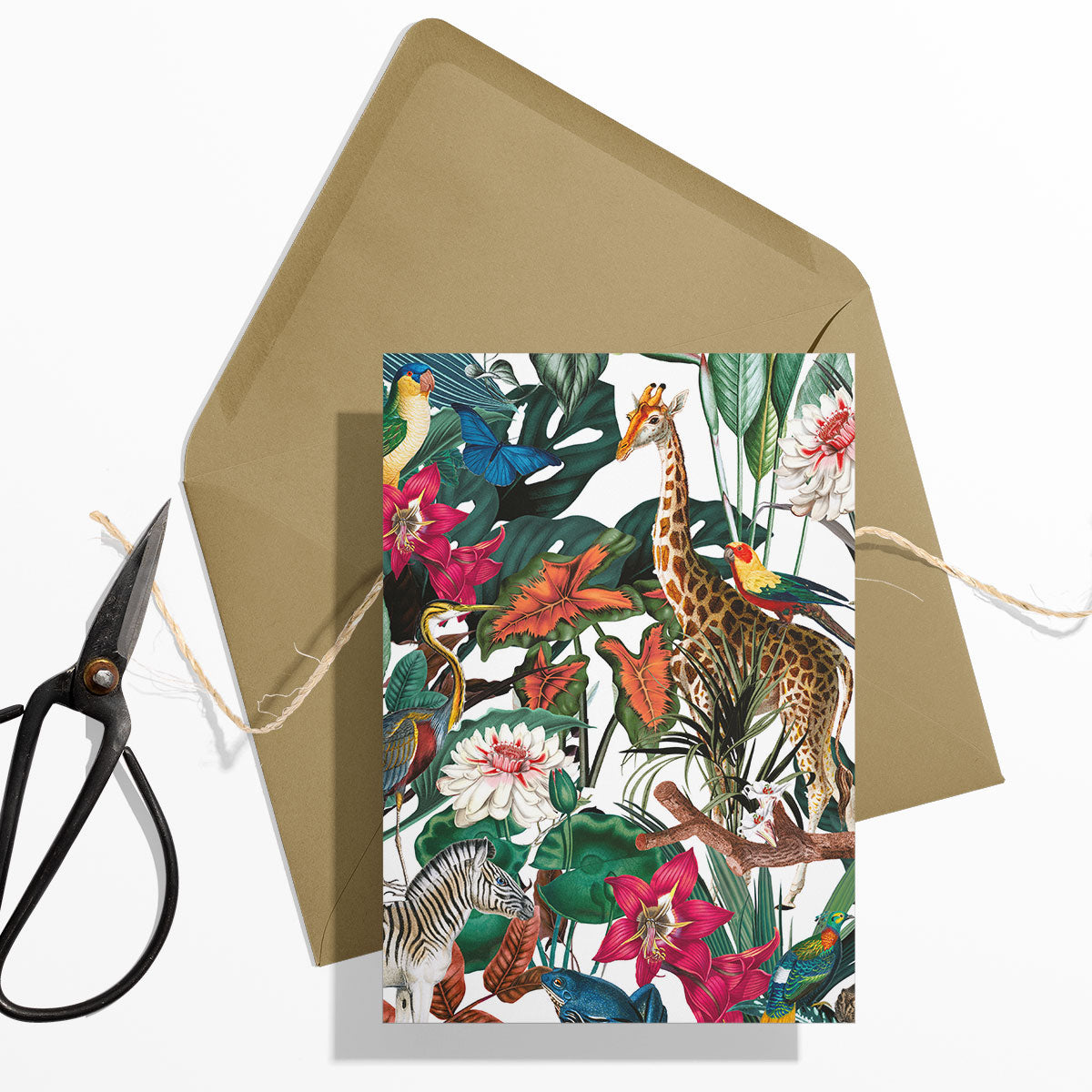 GIFT CARD SET [6] ~ Jungle Wild