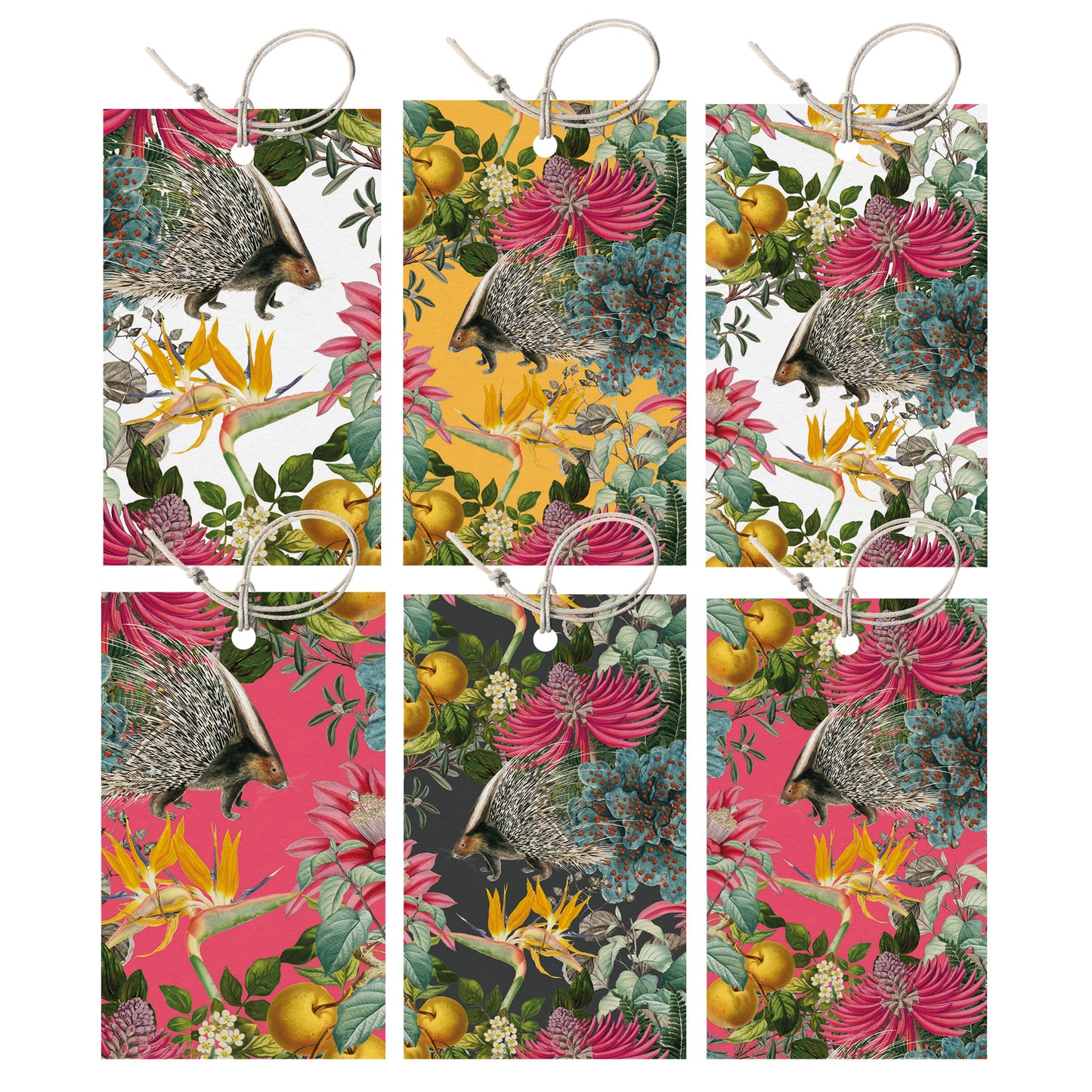 GIFT TAG SET [6] ~ Porcupine Paradise
