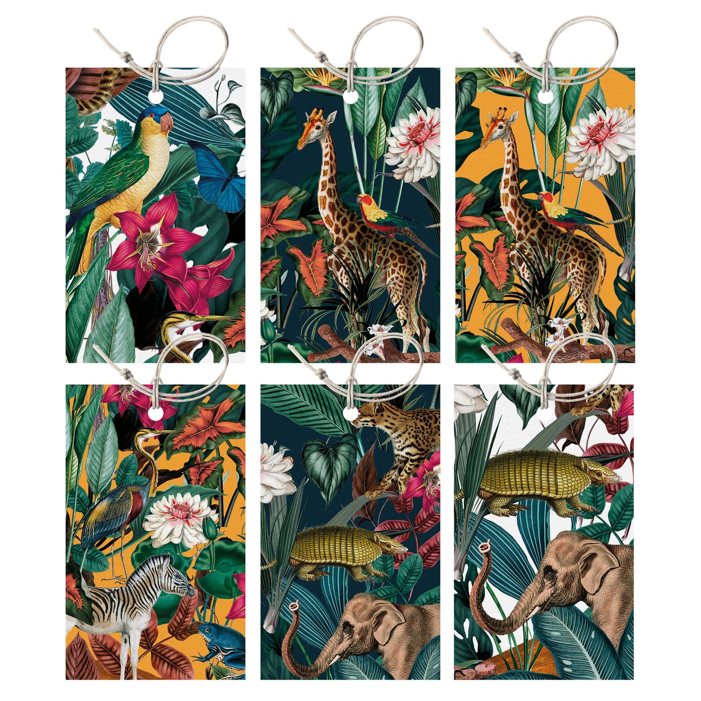 GIFT TAG SET [6] ~ Jungle Wild