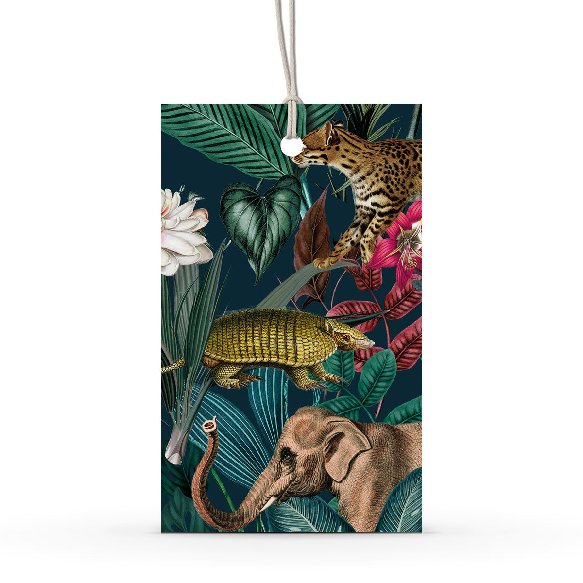 GIFT TAG SET [6] ~ Jungle Wild