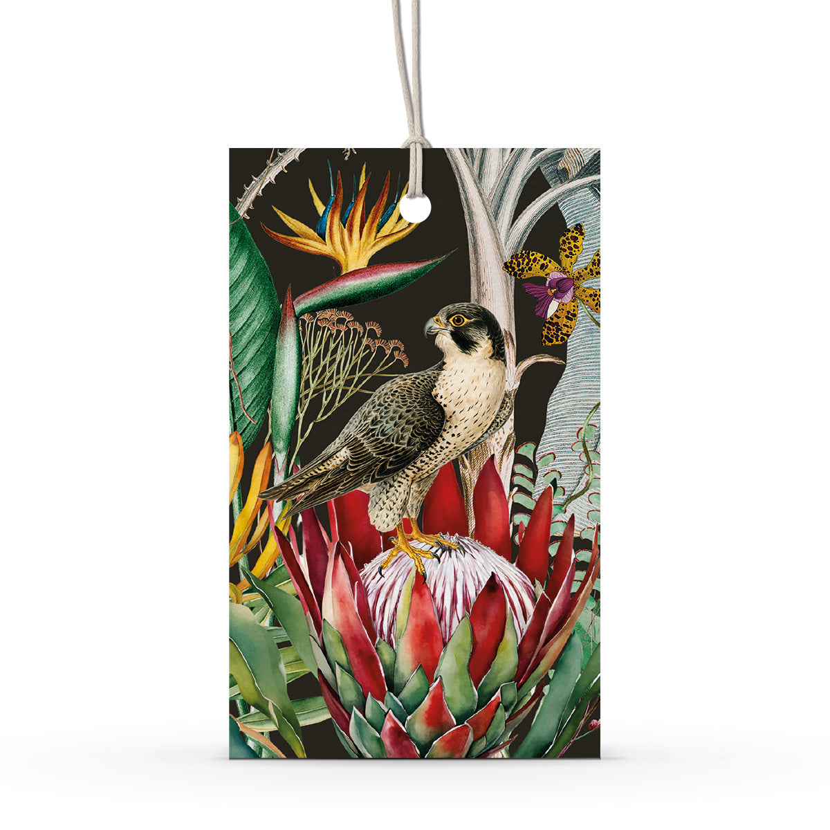 GIFT TAG SET [6] ~ Protea & the Falcon