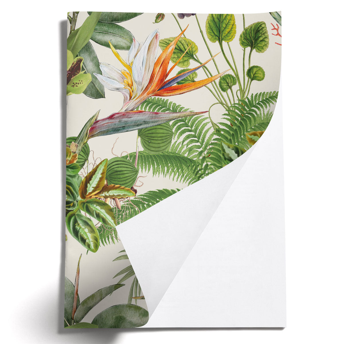 LOVELY LITTLE NOTEBOOKS [set of 2] ~ Greenhouse
