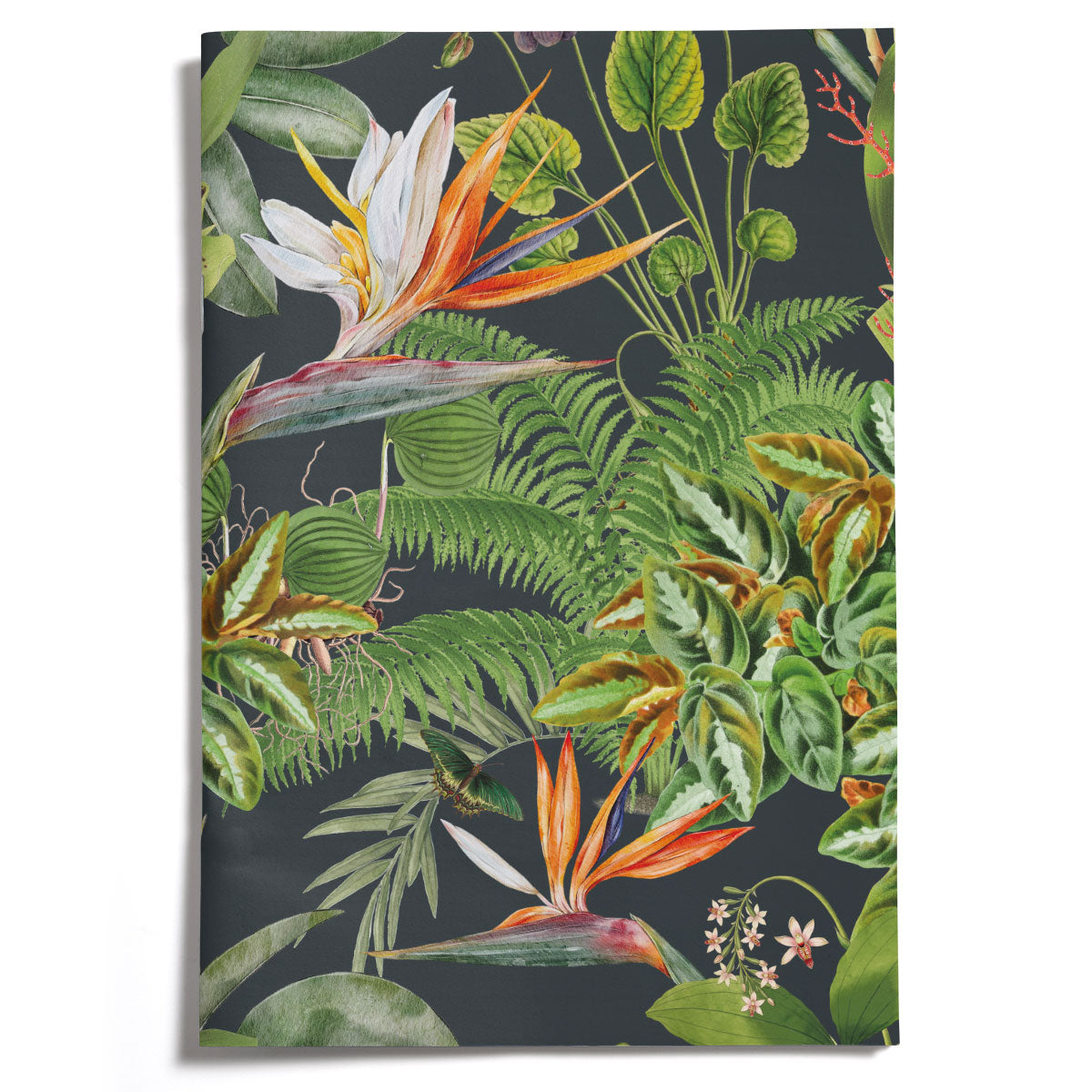 LOVELY LITTLE NOTEBOOKS [set of 2] ~ Greenhouse