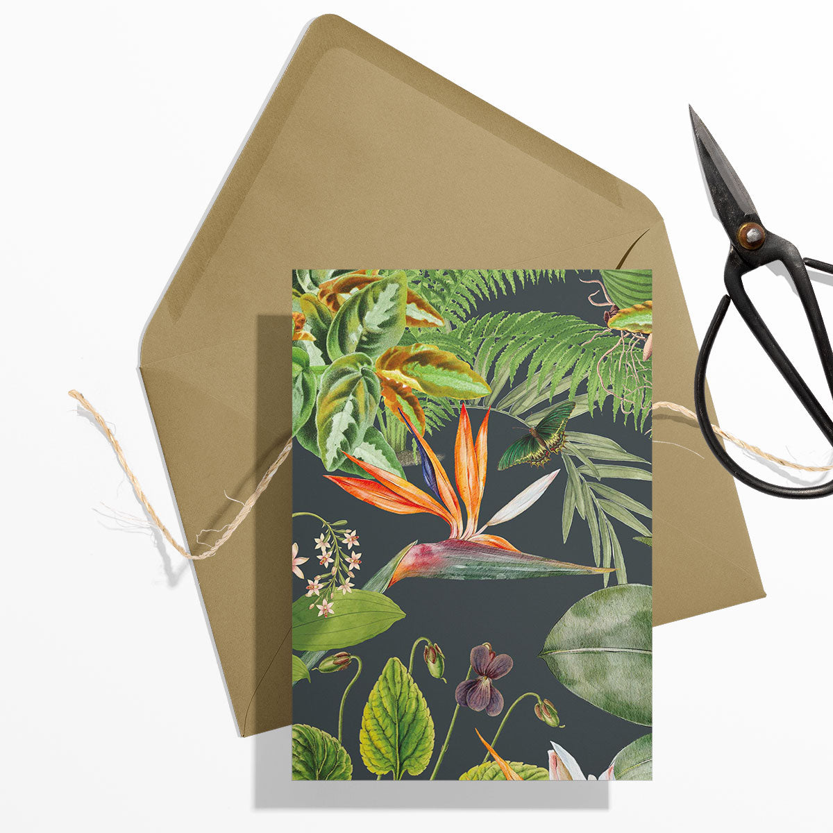 GIFT CARD SET [6] ~ Greenhouse