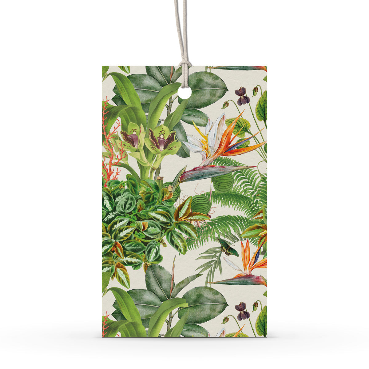 GIFT TAG SET [6] ~ Greenhouse
