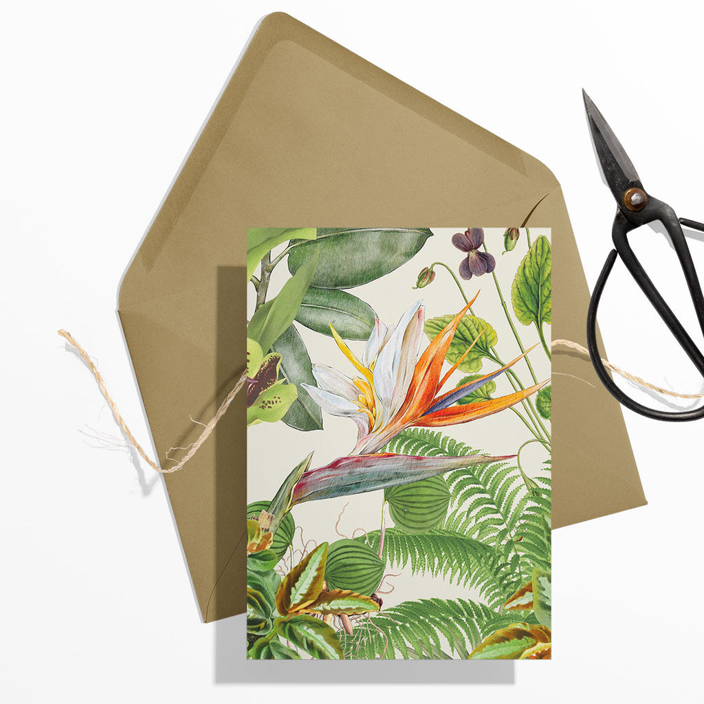 GIFT CARD SET [6] ~ Greenhouse