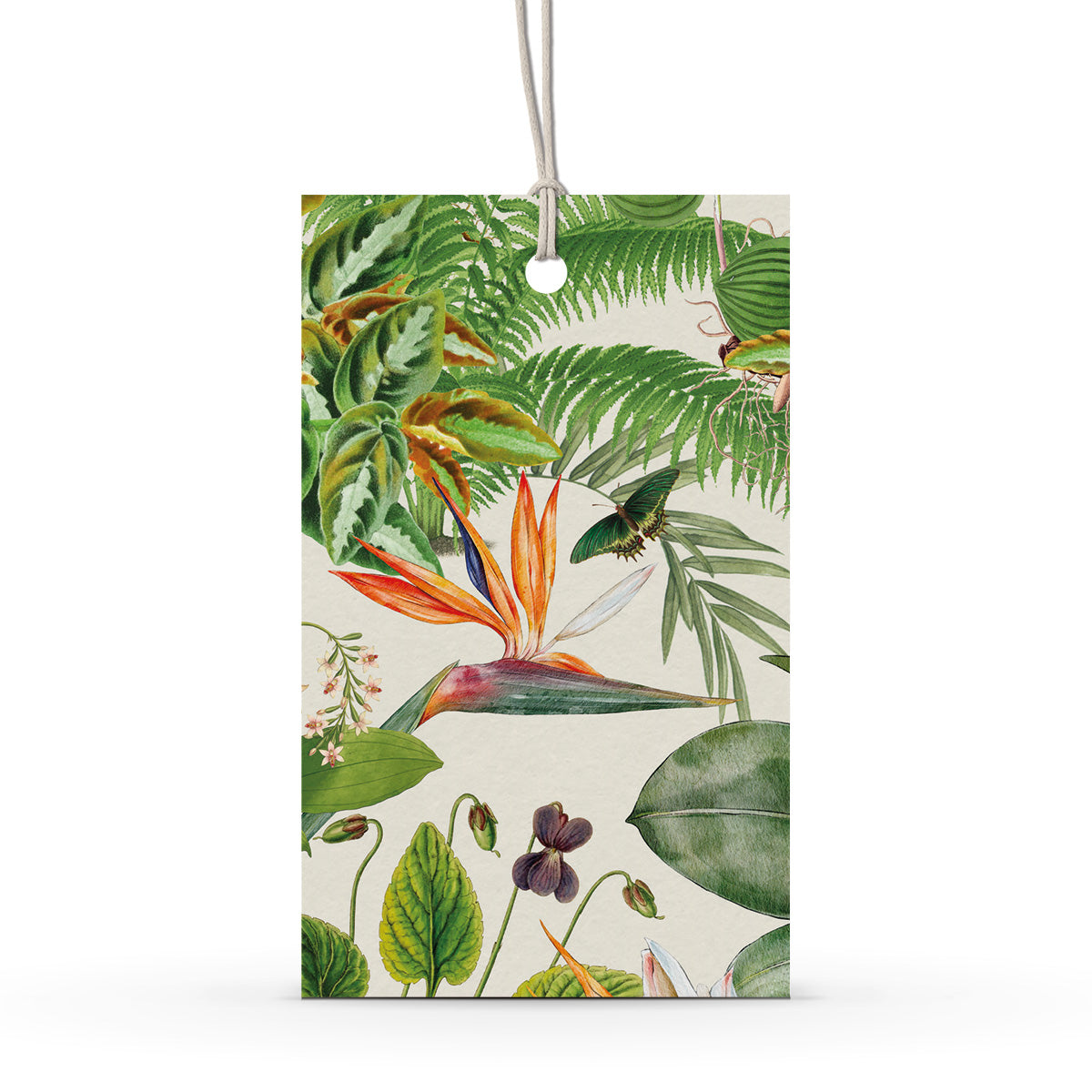 GIFT TAG SET [6] ~ Greenhouse