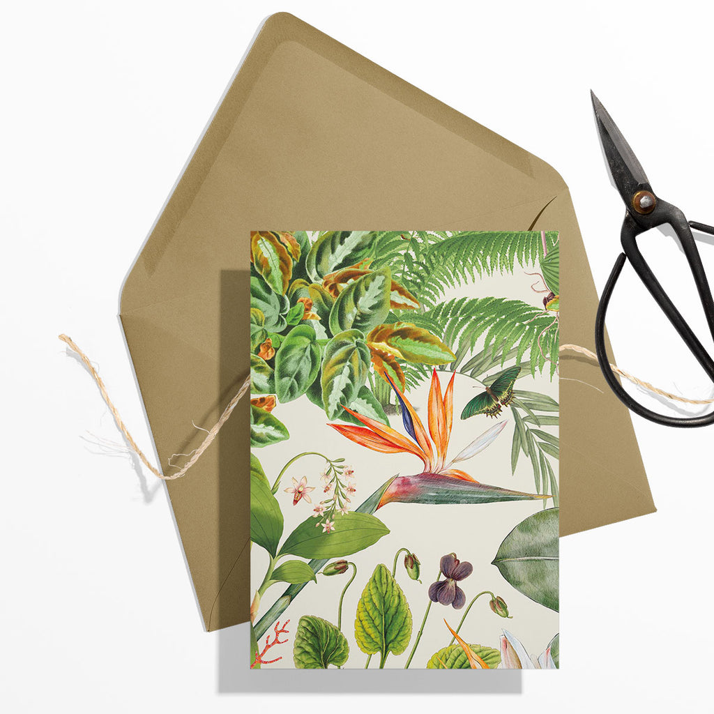 GIFT CARD SET [6] ~ Greenhouse