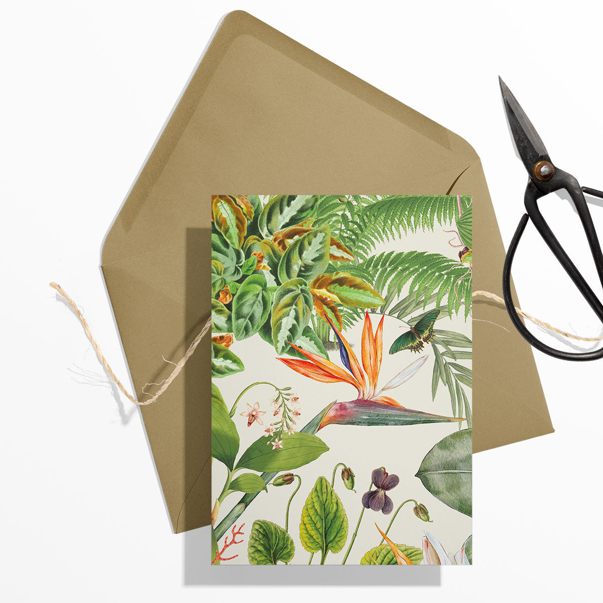 GIFT CARD SET [6] ~ Greenhouse