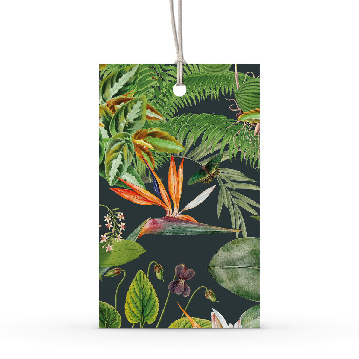 GIFT TAG SET [6] ~ Greenhouse