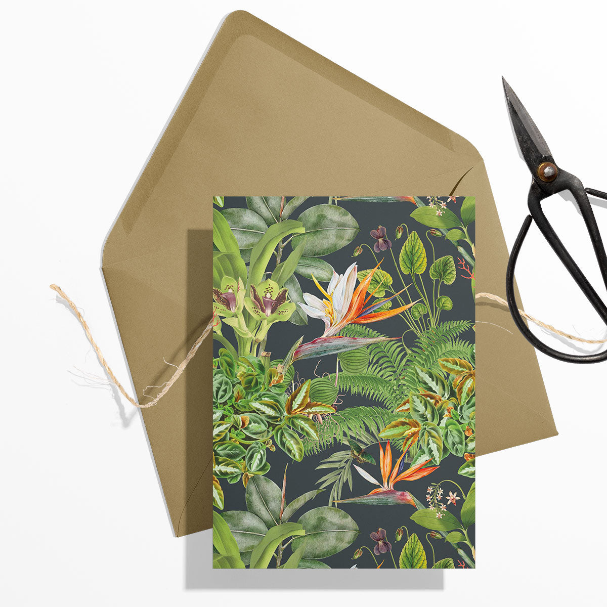 GIFT CARD SET [6] ~ Greenhouse