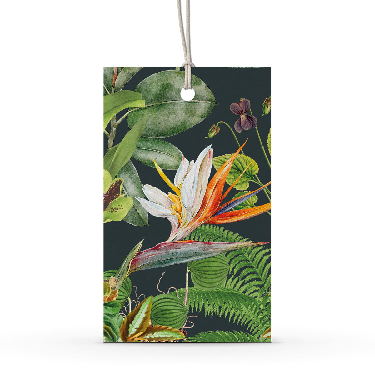 GIFT TAG SET [6] ~ Greenhouse