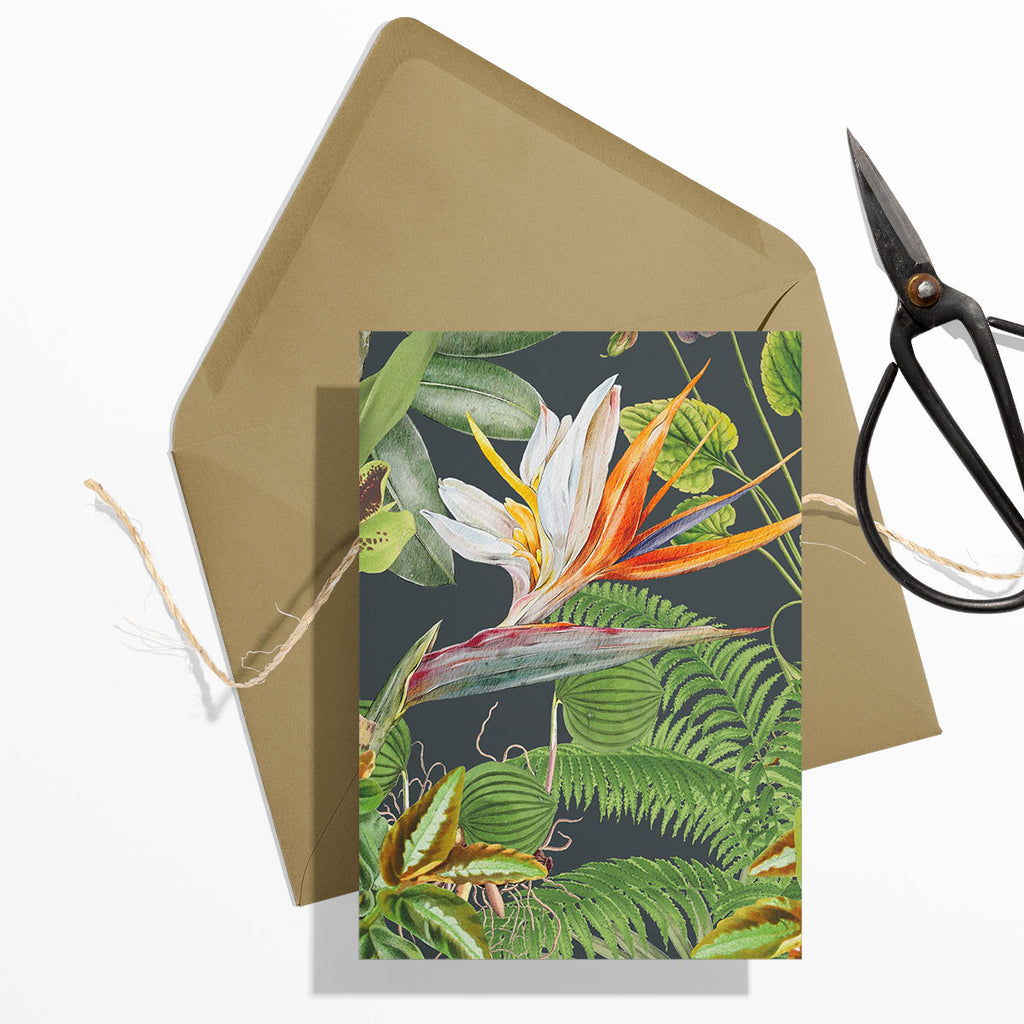 GIFT CARD SET [6] ~ Greenhouse