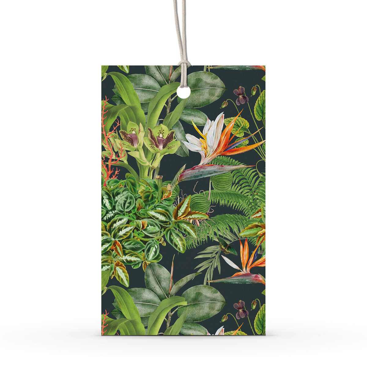 GIFT TAG SET [6] ~ Greenhouse