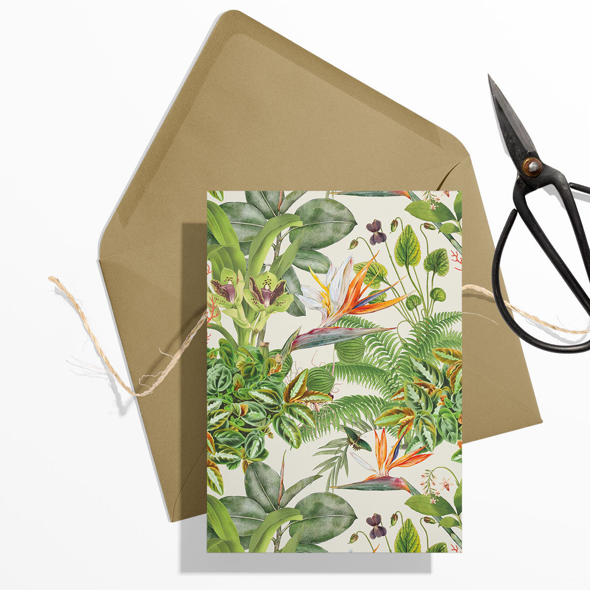 GIFT CARD SET [6] ~ Greenhouse