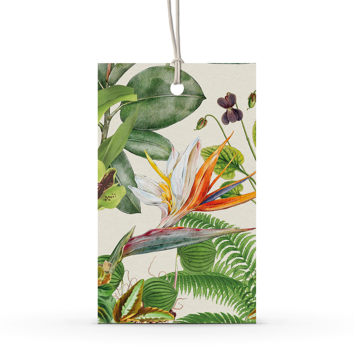 GIFT TAG SET [6] ~ Greenhouse