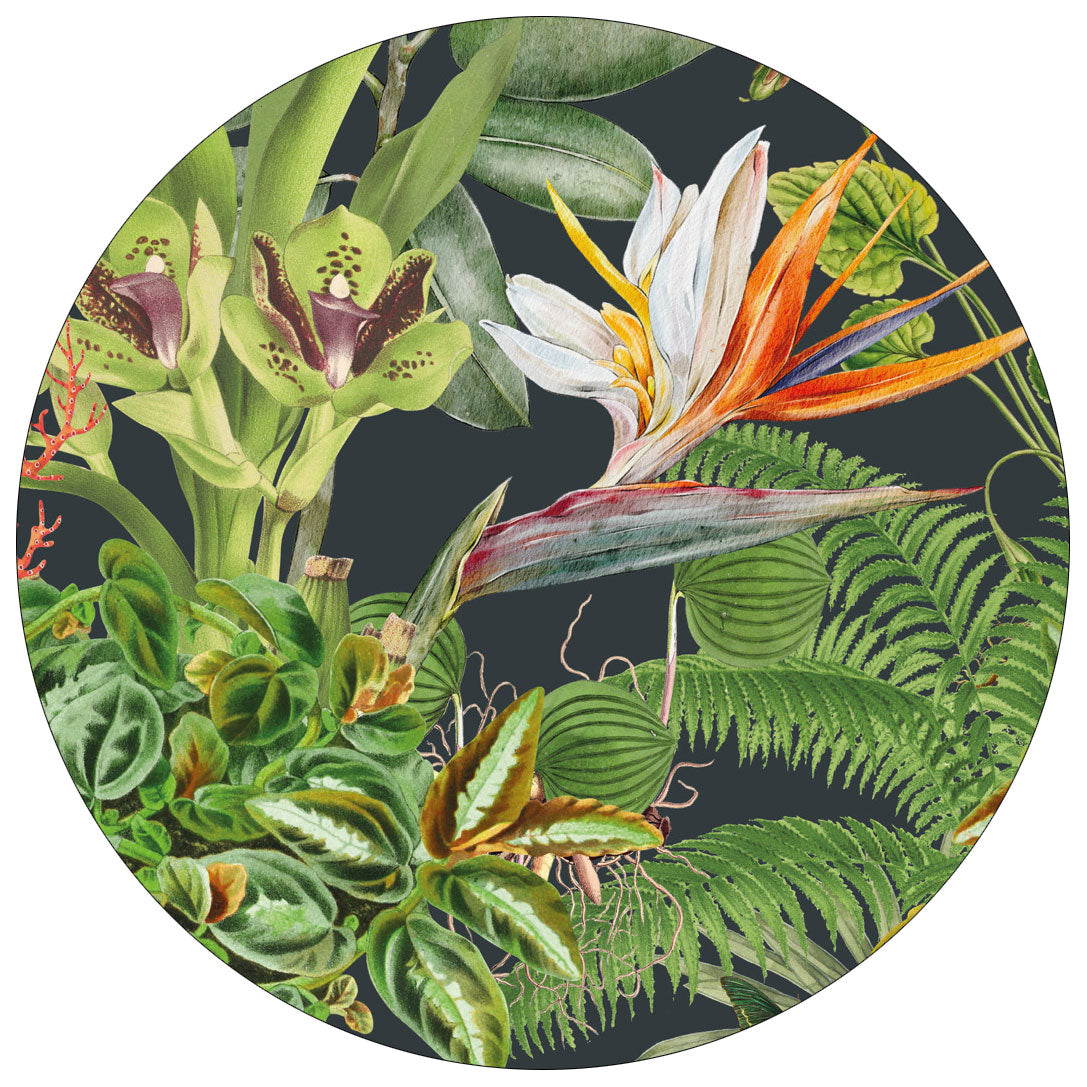 LICENSE DISC STICKER ~ Greenhouse