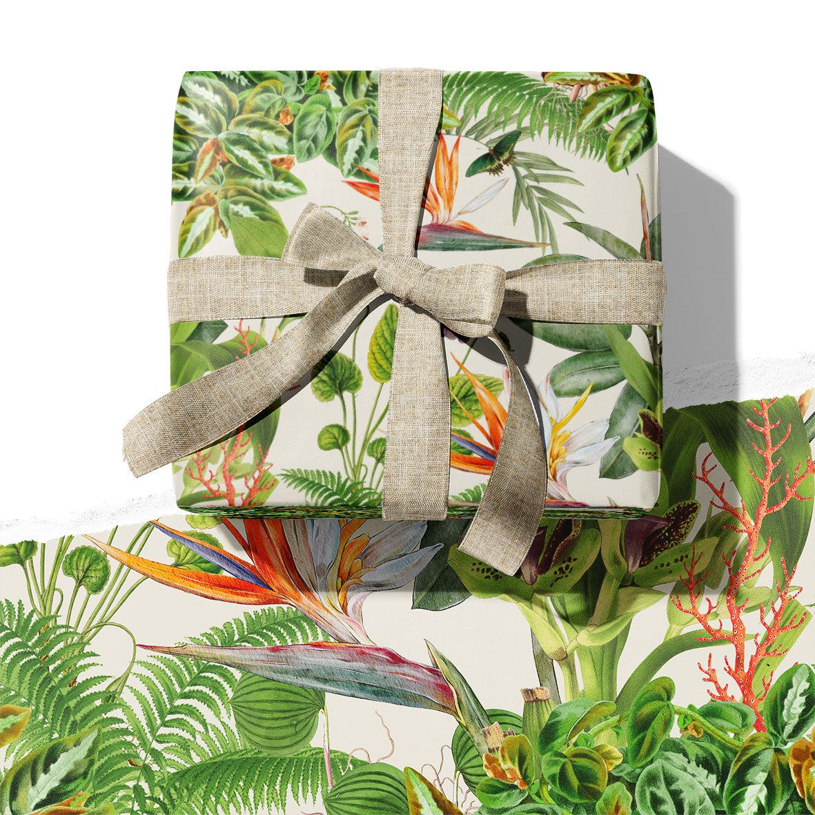WRAPPING PAPER ~ Greenhouse [5 sheets]