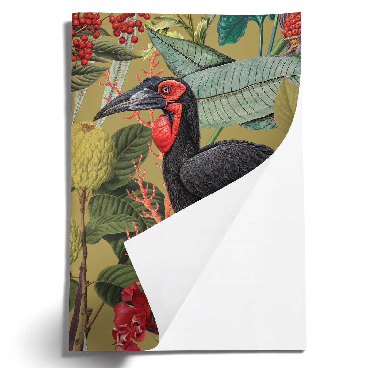 PRE-ORDER - LOVELY LITTLE NOTEBOOKS [set of 2] ~ Hornbills