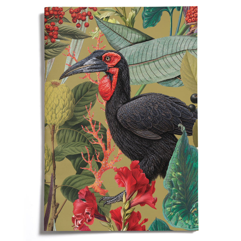 PRE-ORDER - LOVELY LITTLE NOTEBOOKS [set of 2] ~ Hornbills