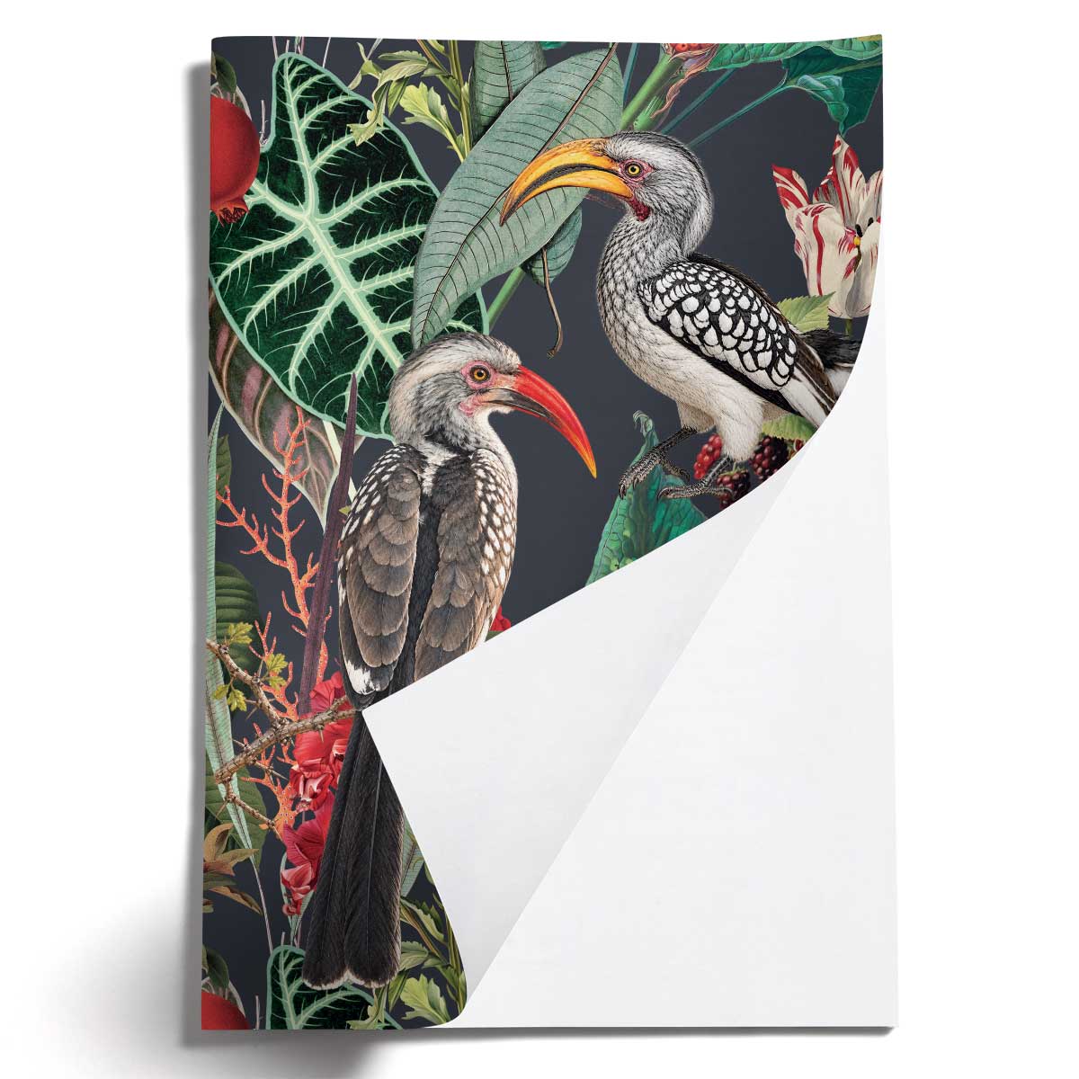 PRE-ORDER - LOVELY LITTLE NOTEBOOKS [set of 2] ~ Hornbills