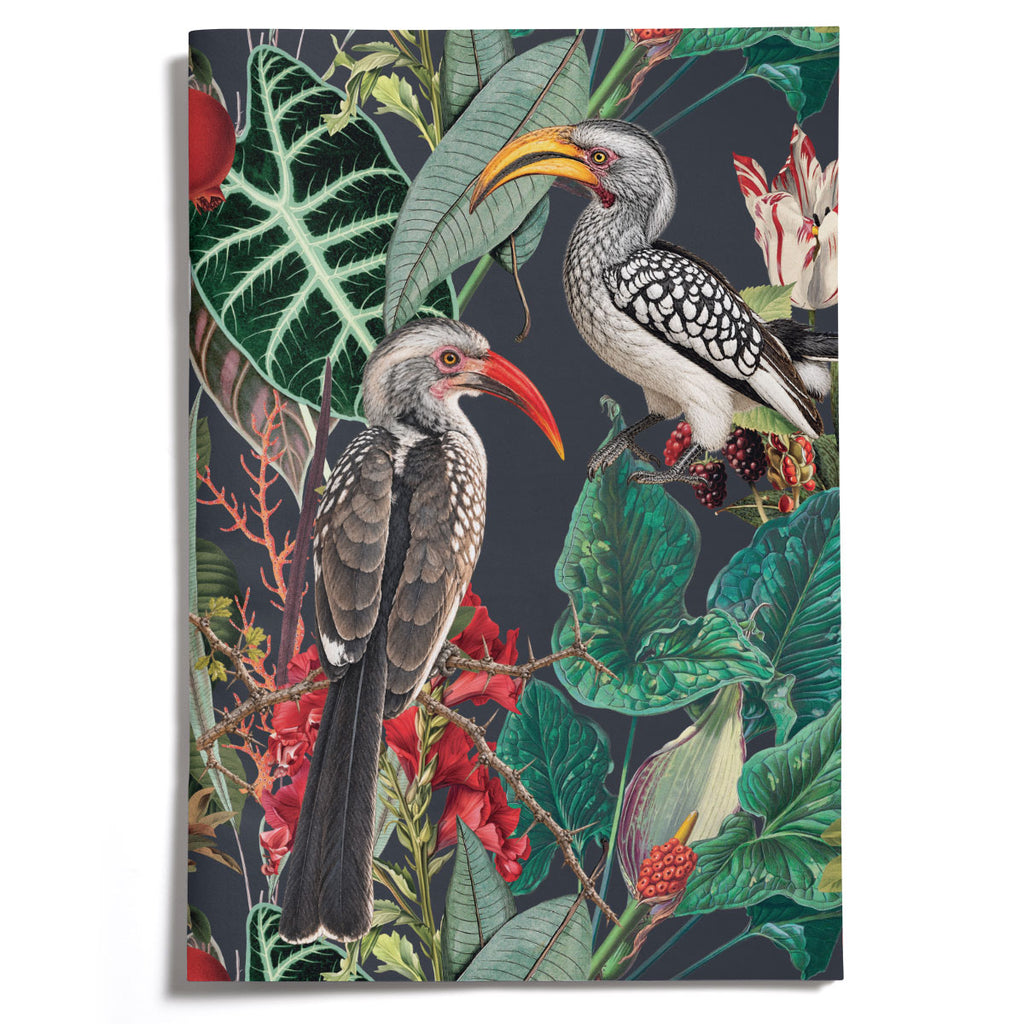 PRE-ORDER - LOVELY LITTLE NOTEBOOKS [set of 2] ~ Hornbills