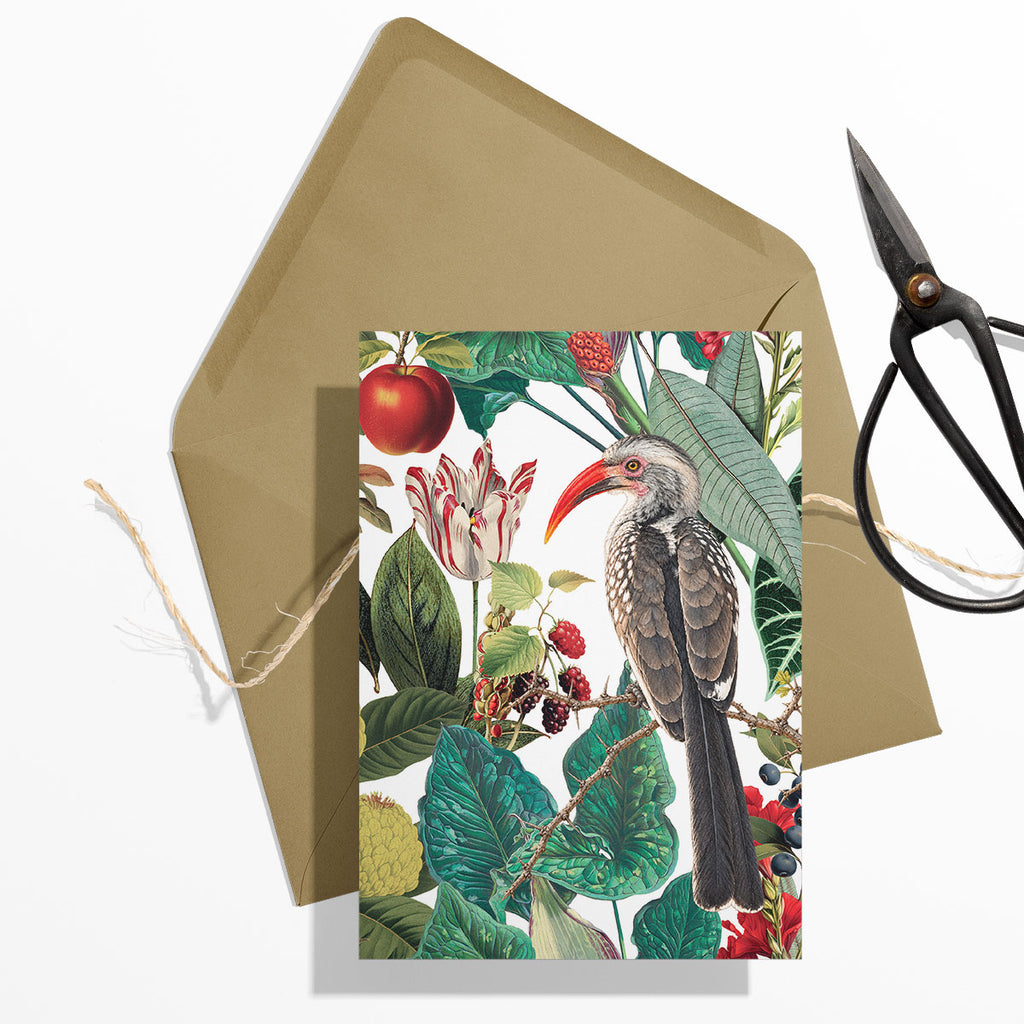 PRE-ORDER - GIFT CARD SET [6] ~ Hornbills
