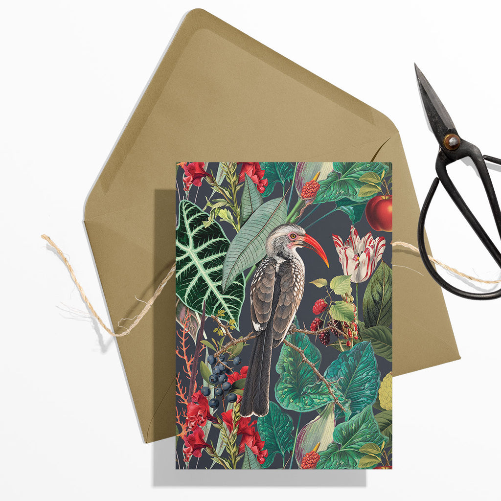 PRE-ORDER - GIFT CARD SET [6] ~ Hornbills