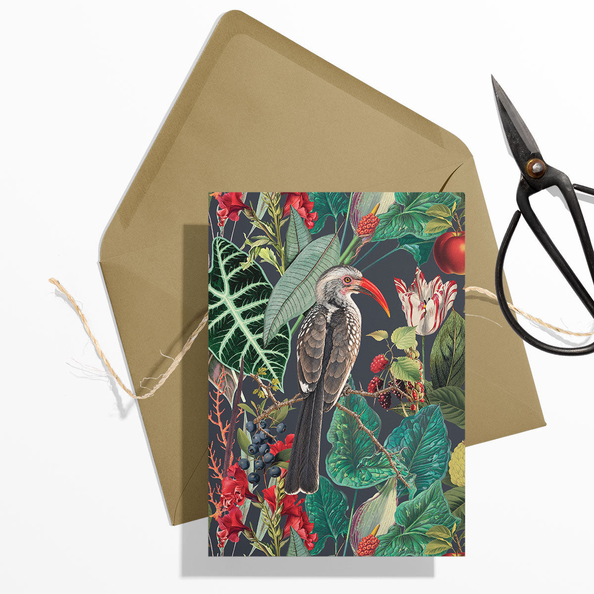 PRE-ORDER - GIFT CARD SET [6] ~ Hornbills