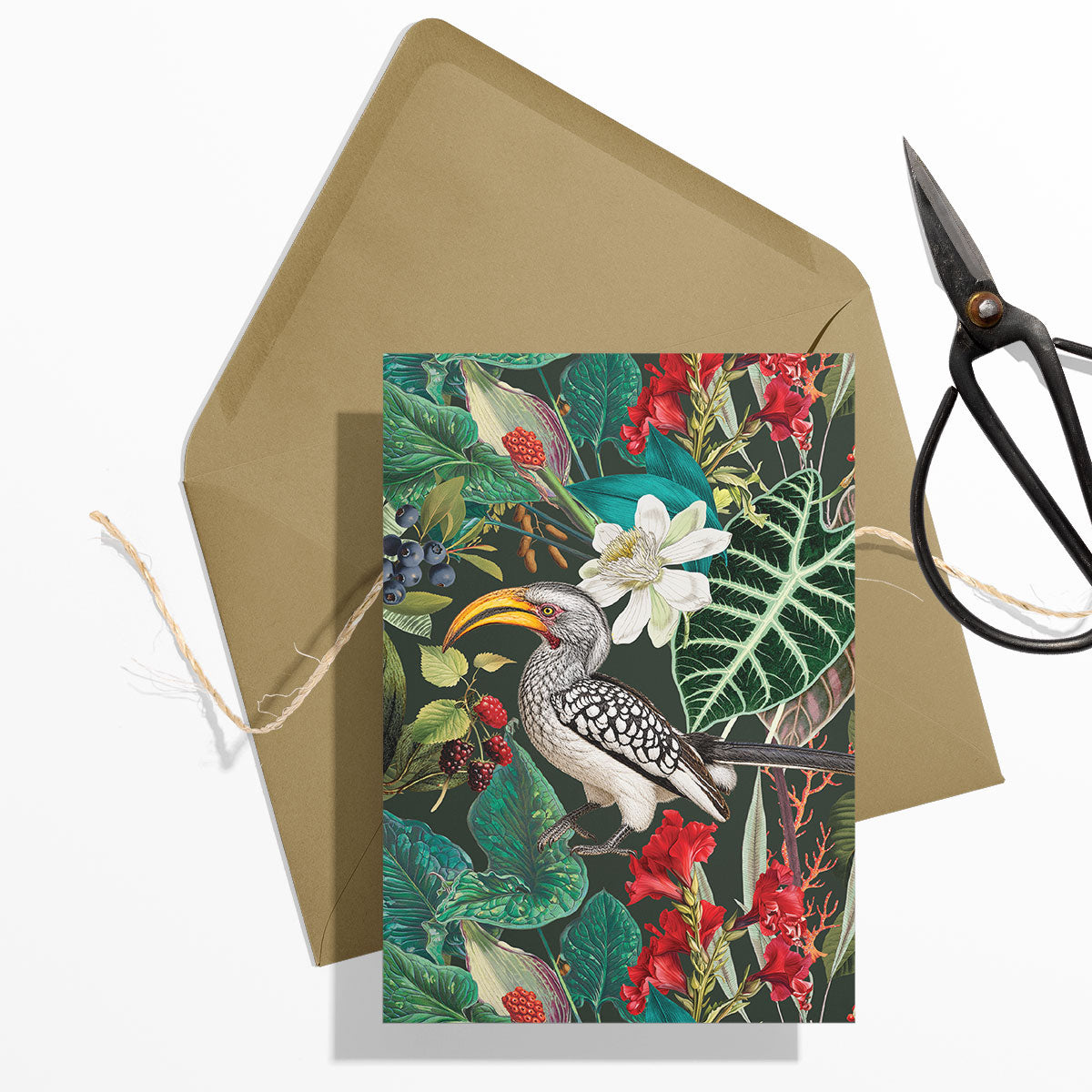 PRE-ORDER - GIFT CARD SET [6] ~ Hornbills