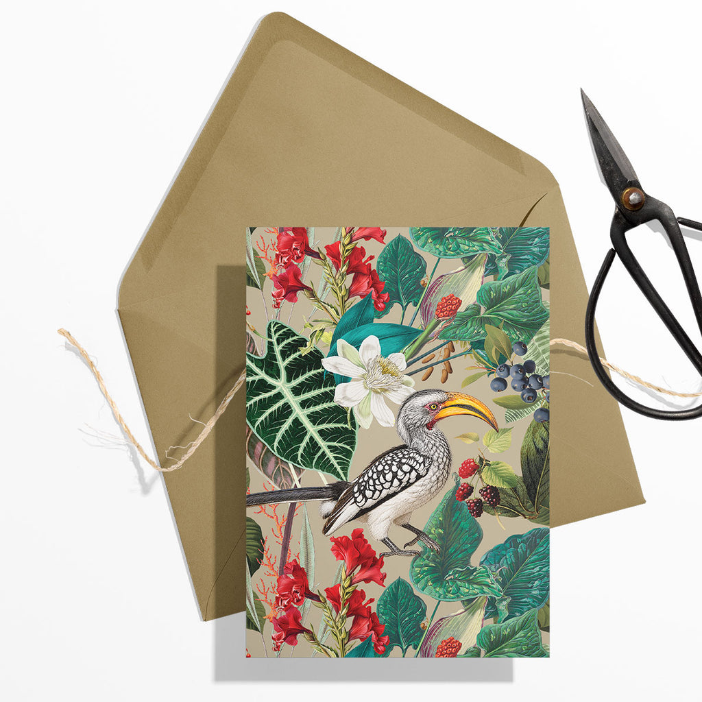 PRE-ORDER - GIFT CARD SET [6] ~ Hornbills