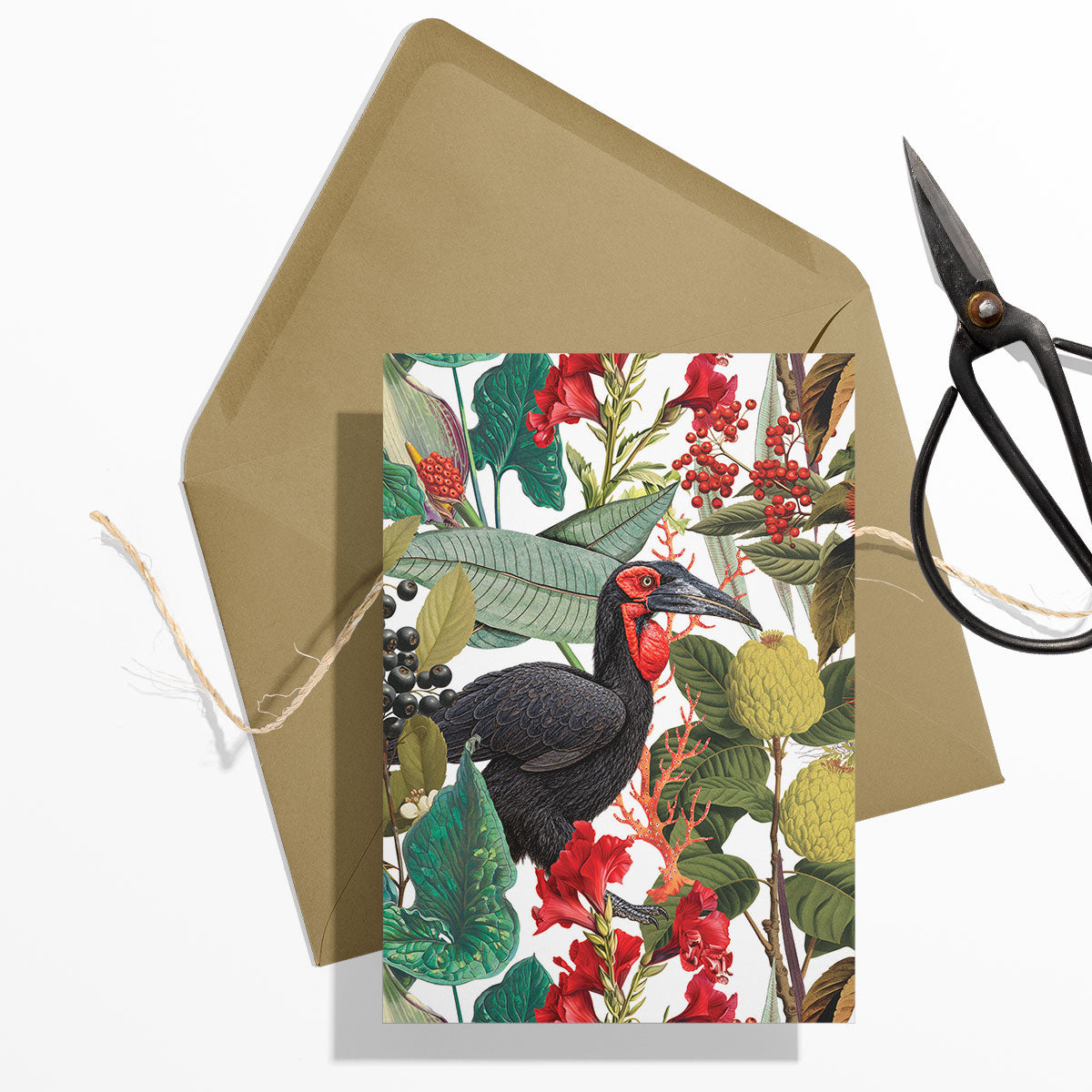 PRE-ORDER - GIFT CARD SET [6] ~ Hornbills