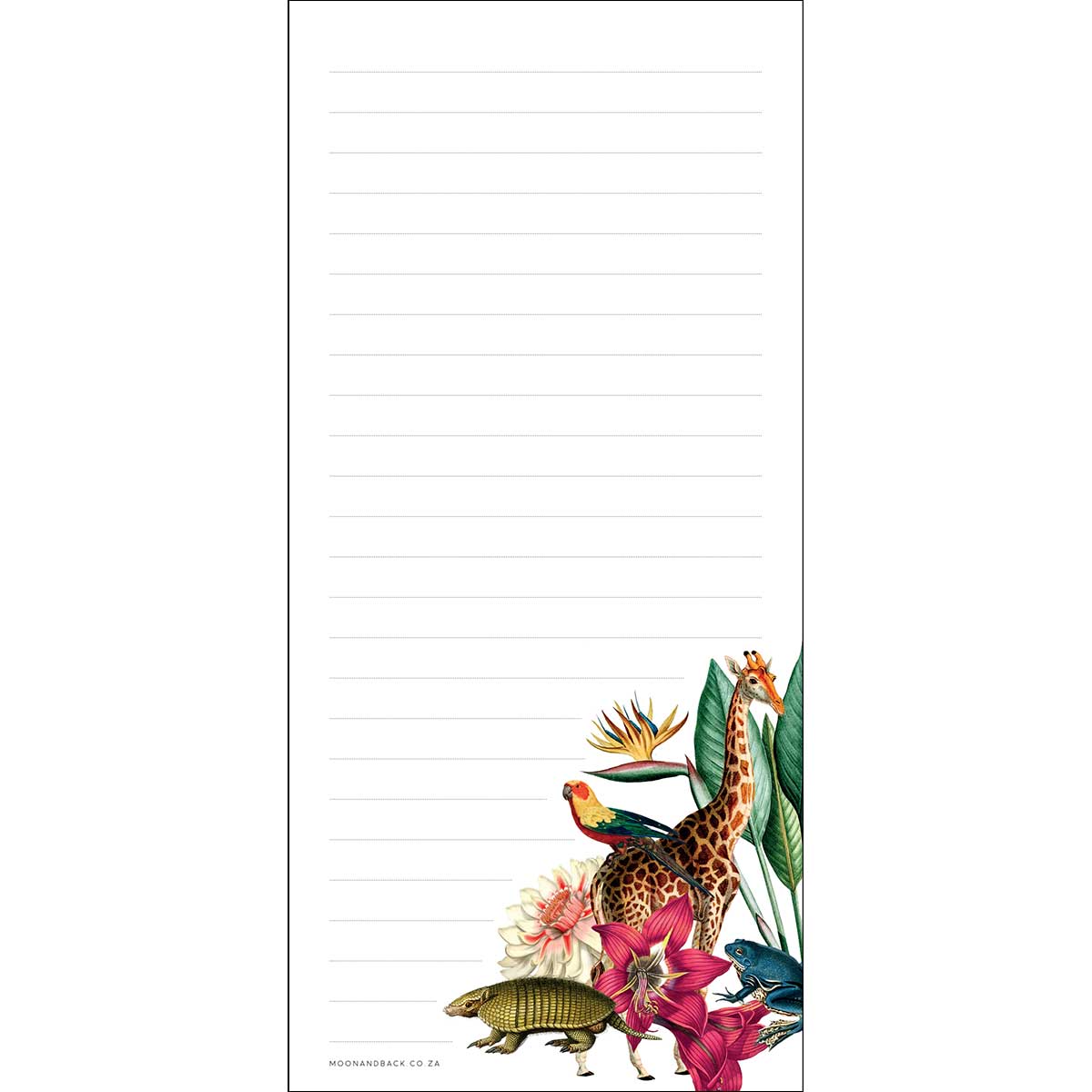 SWEET LITTLE FRIDGE NOTES ~ Jungle Wild