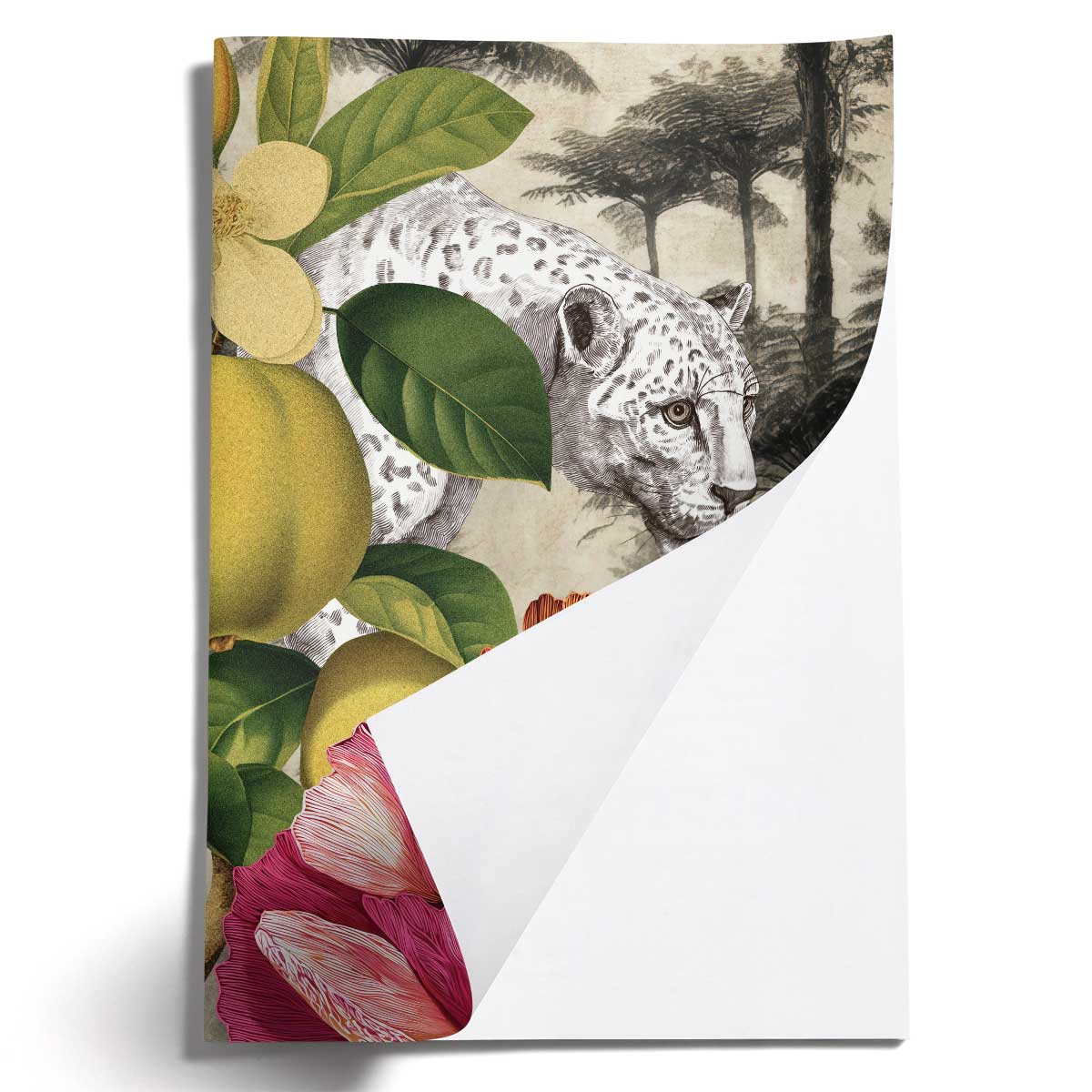 PRE-ORDER - LOVELY LITTLE NOTEBOOKS [set of 2] ~ Lair