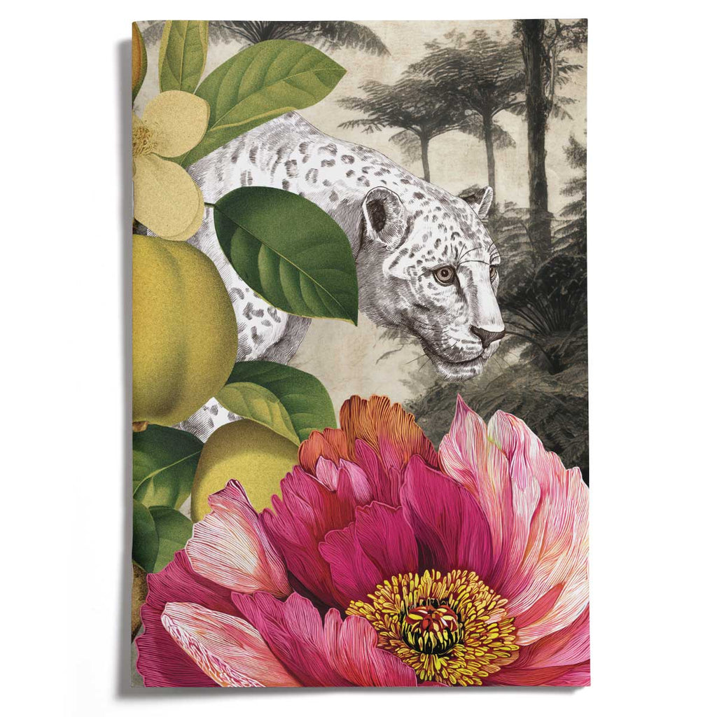 PRE-ORDER - LOVELY LITTLE NOTEBOOKS [set of 2] ~ Lair