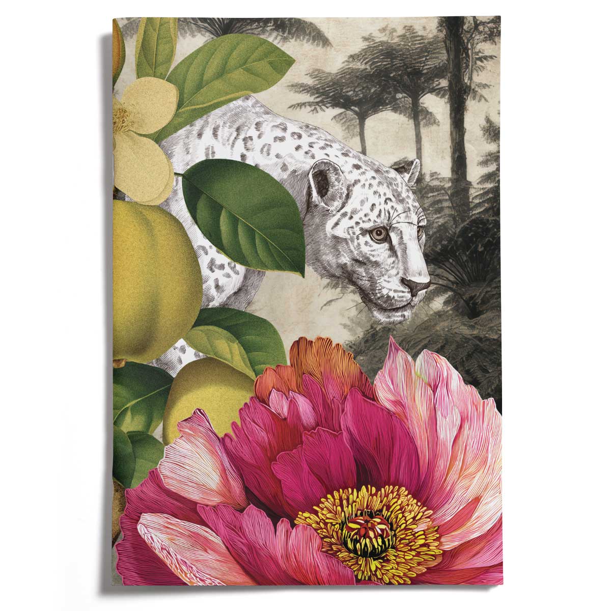 PRE-ORDER - LOVELY LITTLE NOTEBOOKS [set of 2] ~ Lair