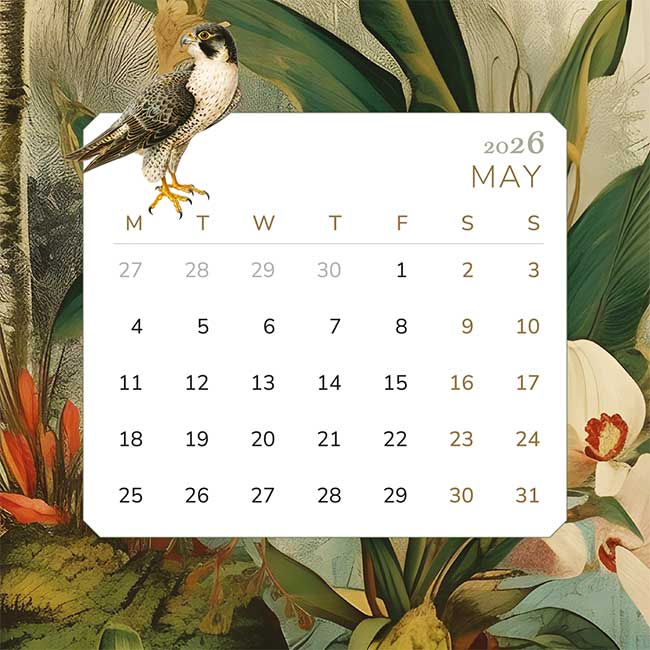 Mini Desk Calendar 2026