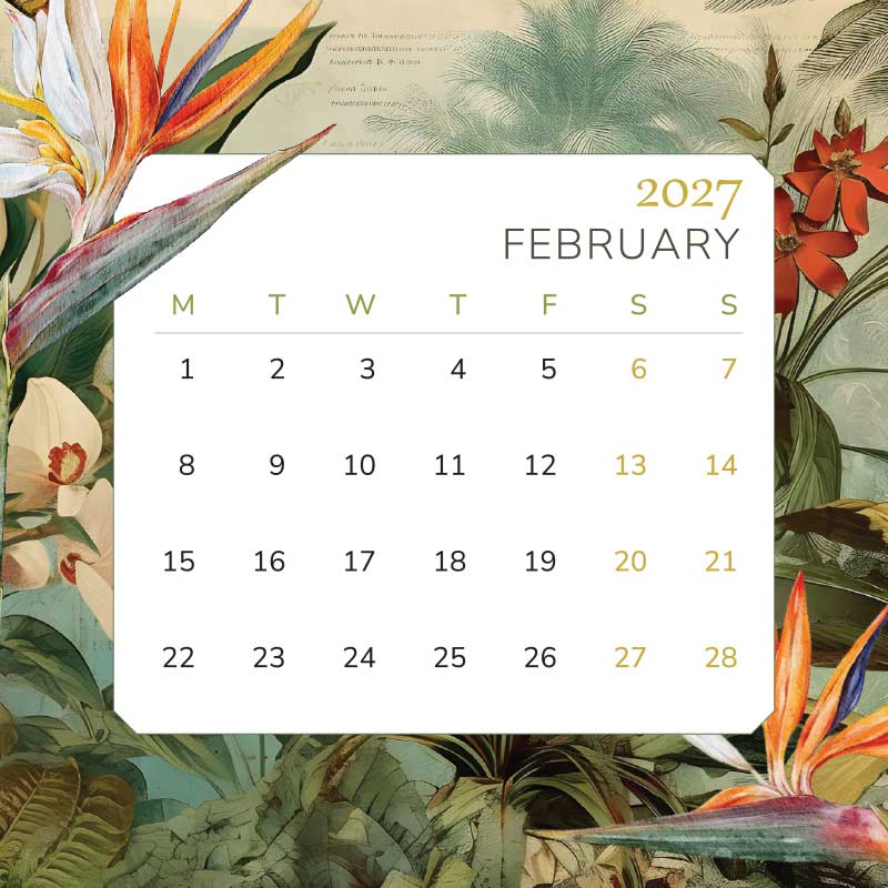 PRE-ORDER - 2027 Mini Desk Calendar