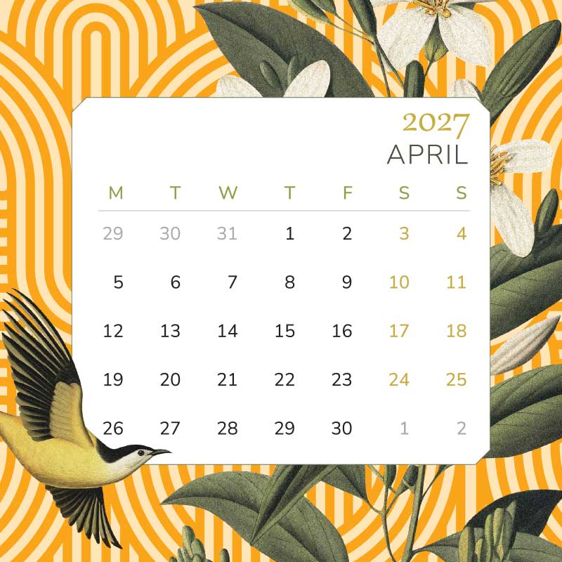 PRE-ORDER - 2027 Mini Desk Calendar
