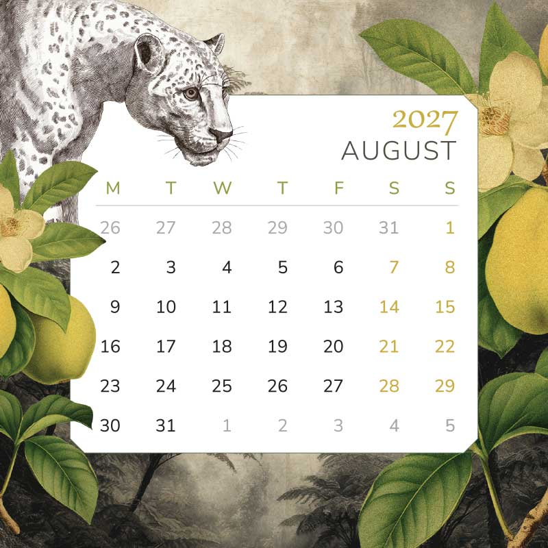 PRE-ORDER - 2027 Mini Desk Calendar