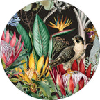 OH SO LOVELY LITTLE GIFT SET - Protea & the Falcon
