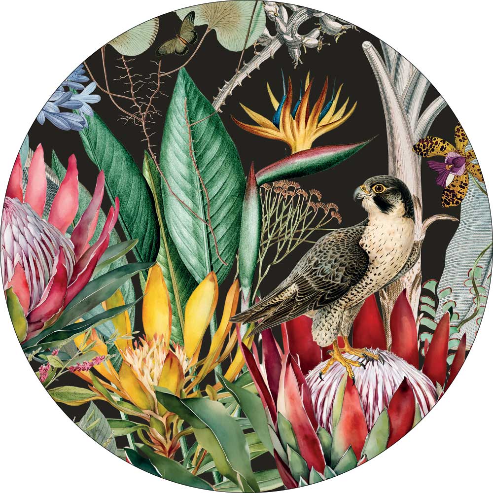 LICENSE DISC STICKER ~ Protea & the Falcon