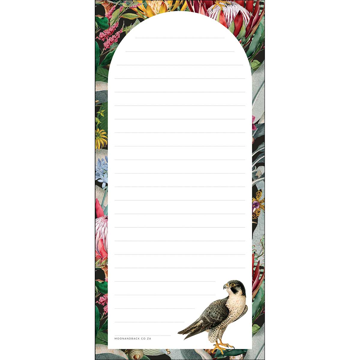 SWEET LITTLE FRIDGE NOTES ~ Protea & the Falcon