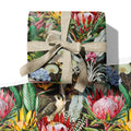 WRAPPING PAPER ~ Protea & the Falcon [5 sheets]