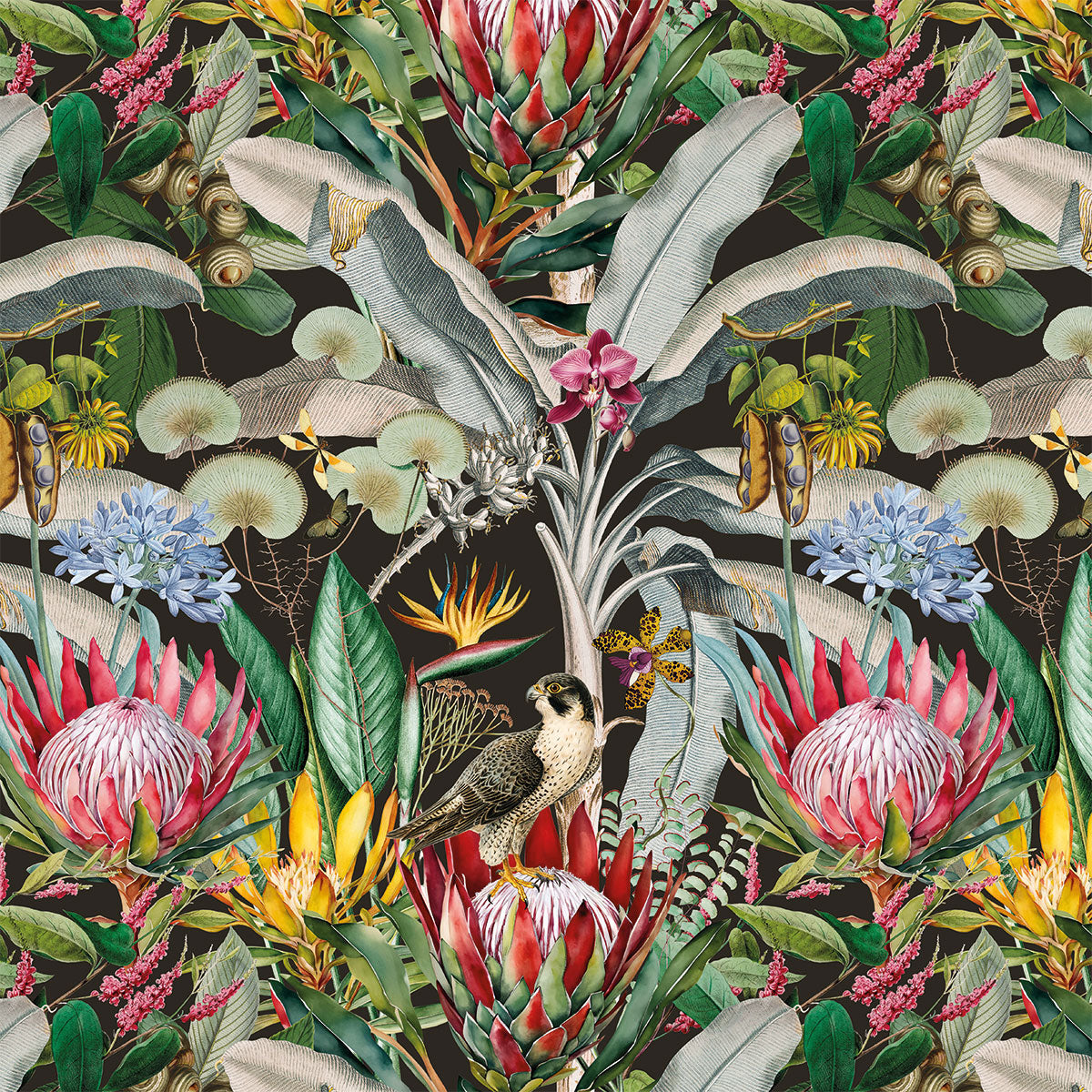 WRAPPING PAPER ~ Protea & the Falcon [5 sheets]